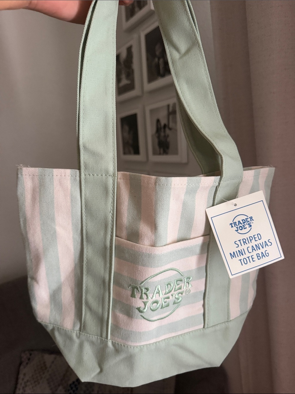 Trader Joe's Mint and White Striped Canvas Tote